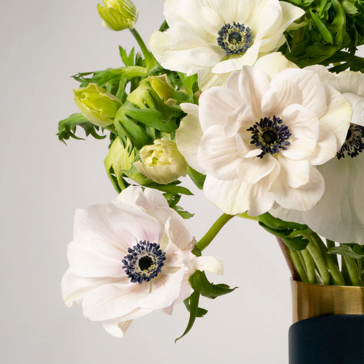 Elevate Your Space with Bloom